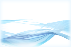 Voice  受講生の声