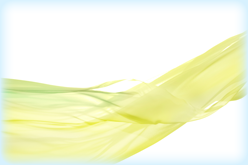 Voice  受講生の声