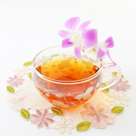 無料説明会日程